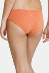 Zivame Anti-Microbial Low Rise Full Coverage Hipster Panty (Pack of 3) - Multicolor — thumbnail 3